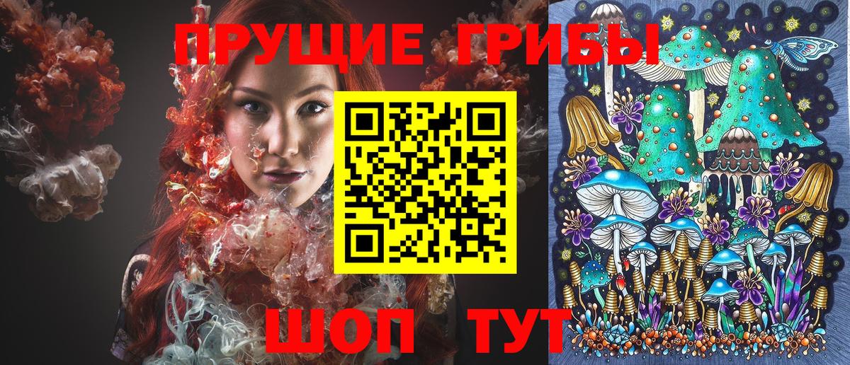 Павловский Посад  Галлюциногенные грибы мухоморы  Вход с VPN  Псилоцибиновые грибы GOLDEN TEACHER 